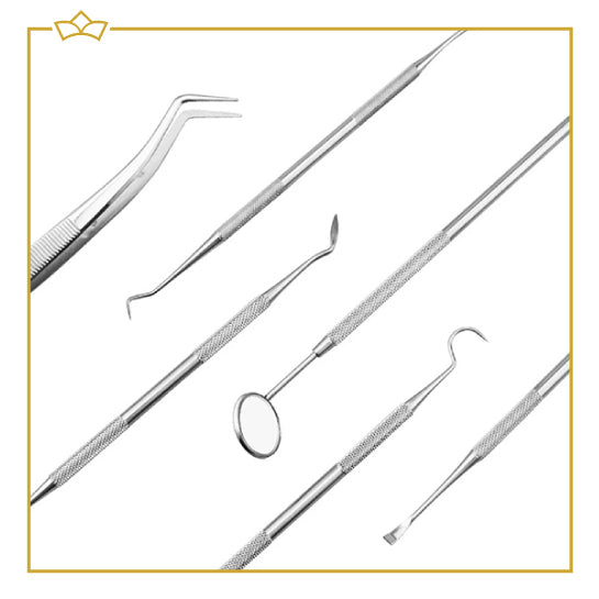 ATTREZZO® – 7 delige premium RVS Tandverzorgingsset inclusief case – Gebitsverzorging – Tandenstokers – Tandverzorging – Tandenflosser – Flossen