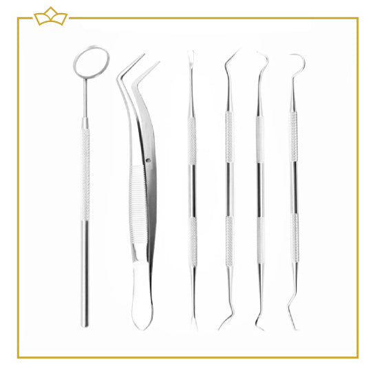 ATTREZZO® – 7 delige premium RVS Tandverzorgingsset inclusief case – Gebitsverzorging – Tandenstokers – Tandverzorging – Tandenflosser – Flossen
