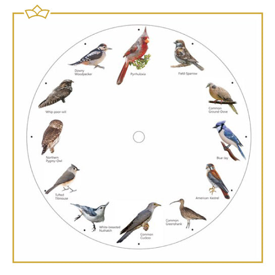 ATTREZZO® Wandklok met vogelgeluiden - Birdsong klok