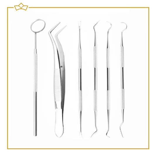 ATTREZZO® – 7 delige premium RVS Tandverzorgingsset inclusief case – Gebitsverzorging – Tandenstokers – Tandverzorging – Tandenflosser – Flossen