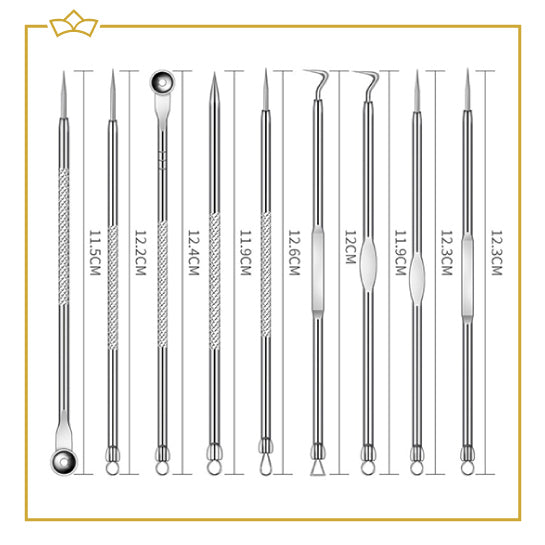 ATTREZZO® 9-delige set Mee eter verwijderen in luxe metalen etui - Puistjes verwijderen - Acne - Blackhead remover